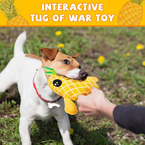 Dog Squeak Toys for Chewers - 2 Pack 2-in-1 Interactive Stuffed Plush Dog Toy with Surprise Ball Inside, Cute Durable Tug and Fetch Toys Pineapple and Cactus Pet Chew Toys for Small to Lagre Dogs