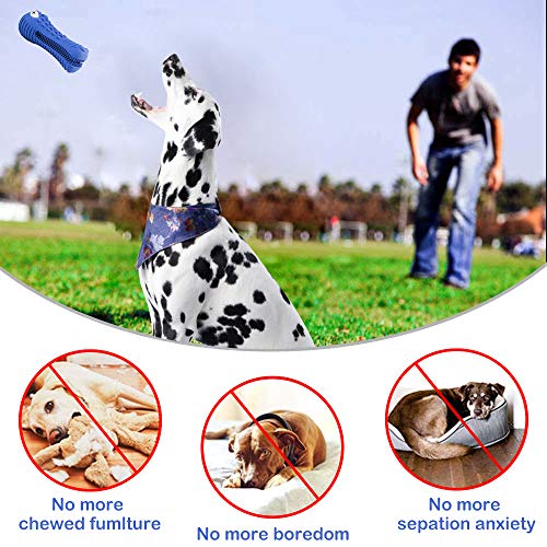 Dog Chew Toys for Aggressive Chewers Large Breed,RexSoul Rubber Dog Toothbrush & Squeaky Chew Toys,Reduces Plaque & Tartar Teeth Cleaning Pet Toys, Tough Tear-Resistant Crocodile Shape Dog Toys