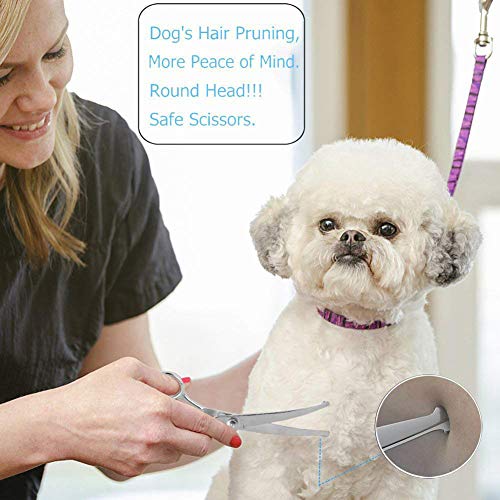 H-Jia Dog Grooming Scissors Set, Safety Round Blunt Tip Pet Grooming Kit-Straight, Curved, Thinning Shears with Comb Grooming Glove, Sharp Durable Grooming Tools for Large Small Dogs and Cats (5PCS)