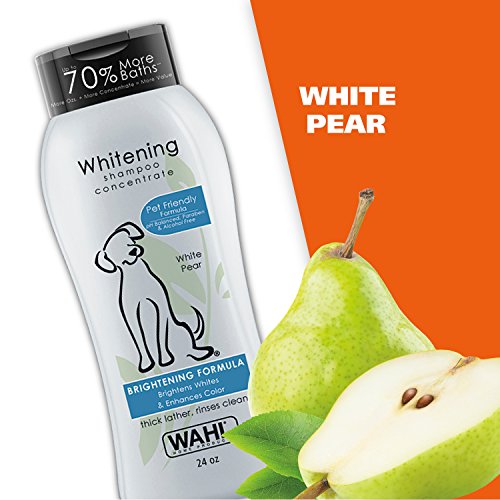Wahl White Pear Brightening Shampoo for Pets â Whitening & Animal Odor Control with Silky Smooth Results for Grooming Dirty Dogs â 24 oz