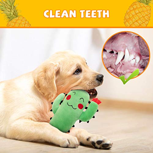 Dog Squeak Toys for Chewers - 2 Pack 2-in-1 Interactive Stuffed Plush Dog Toy with Surprise Ball Inside, Cute Durable Tug and Fetch Toys Pineapple and Cactus Pet Chew Toys for Small to Lagre Dogs