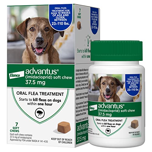 Bayer Animal Health Advantus (imidacloprid) Oral Dog Flea Treatment, Soft Flea Chews for Dogs 23-110 lbs, 7 Doses