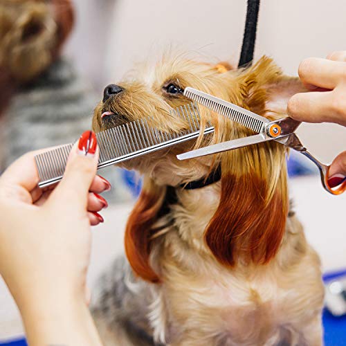 Boao Stainless Steel Pet Comb Pet Grooming Comb Rounded Teeth Dog Comb for Large, Medium and Small Dogs and Cats with Tangled Short/Long Hair, 19 x 3 cm