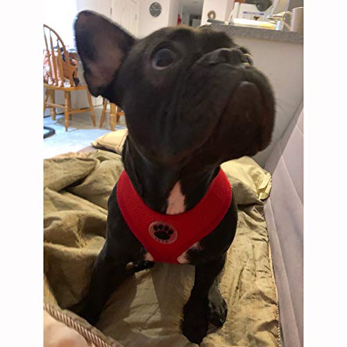 Soft Mesh Dog Harness No Pull Walking Comfort Padded Vest Harnesses Adjustable Red M