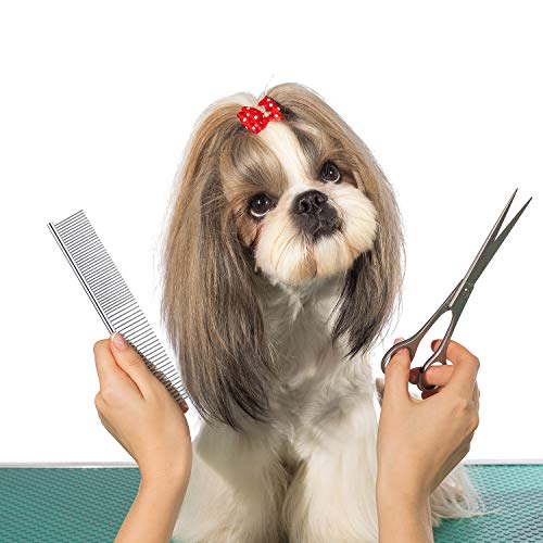 Boao Stainless Steel Pet Comb Pet Grooming Comb Rounded Teeth Dog Comb for Large, Medium and Small Dogs and Cats with Tangled Short/Long Hair, 19 x 3 cm