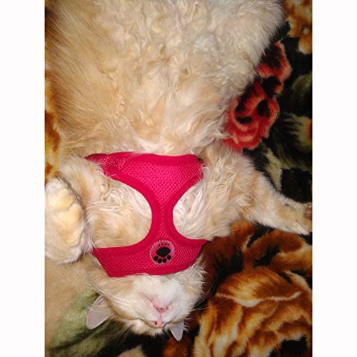 Soft Mesh Dog Harness No Pull Walking Comfort Padded Vest Harnesses Adjustable Red M