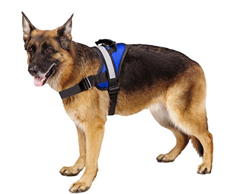 EXPAWLORER Big Dog Harness Soft Reflective No Pull Blue Size L 26-36inch