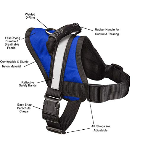 EXPAWLORER Big Dog Harness Soft Reflective No Pull Blue Size L 26-36inch