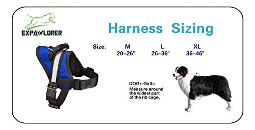 EXPAWLORER Big Dog Harness Soft Reflective No Pull Blue Size L 26-36inch