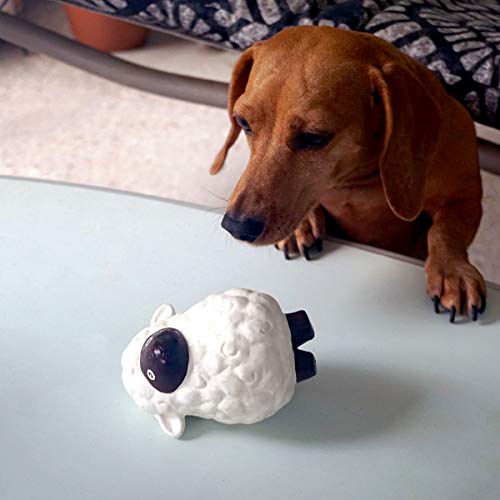 rocket & rex Dog Chew Toy Gift Set | Includes a Rope Toy, Rubber Squeaker Toy and Plush Toy with Ball Inside | for Puppies and Small to Medium Breeds