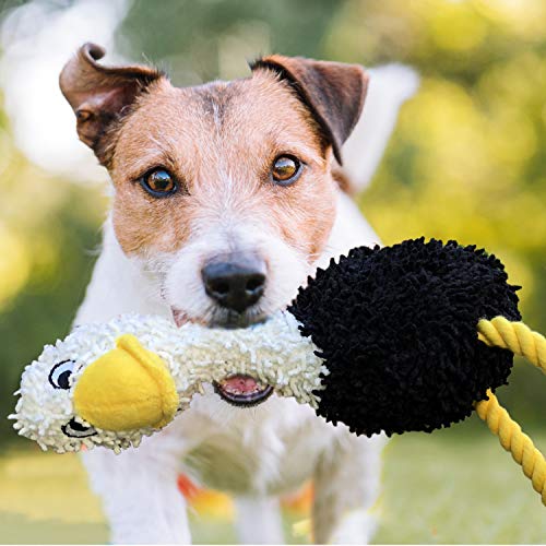 rocket & rex Dog Chew Toy Gift Set | Includes a Rope Toy, Rubber Squeaker Toy and Plush Toy with Ball Inside | for Puppies and Small to Medium Breeds