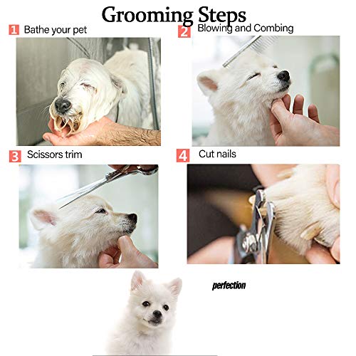Dog Grooming Scissors kit with Safety Round End, Pet Grooming Trimmer Set with Blunt Tip-Thinning, Straight, Curved Shears tool with Comb, Nail Cliper and Nail File for Long Short Fur of Cat and Puppy
