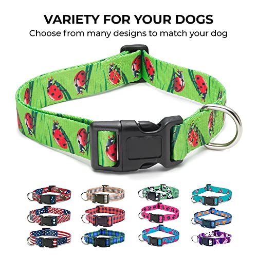 American Flag Dog Collar in 5 Different Sizes Classic (Small)