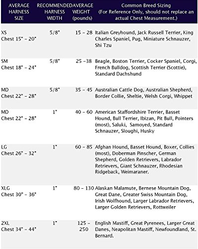 XLarge Brown Dog Harness Training Package by 2 Hounds