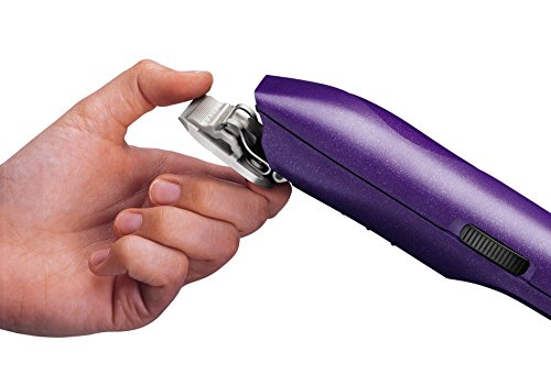 Andis (Pet) 22690 EasyClip Pro-Animal 7-Piece Detachable Blade Clipper Kit,Purple