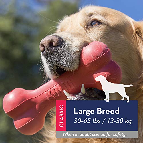 Durable KONG Goodie Bone for Aggressive Chewers