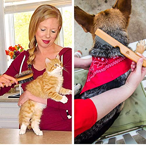 ATEASE Dog Gift Set-New Puppy Pet Kit-Starter Brush and Comb Professional Double Sided, Detangling, Dematting All Natural Grooming for Long and Short haired Dogs Cats Puppies Kittens