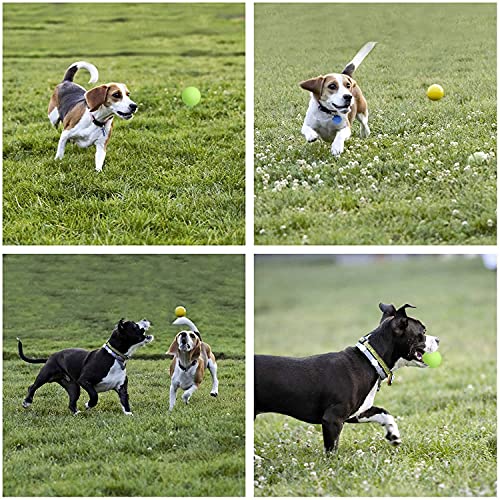 Youngever Dog Rope Toys, Puppy Chew Toys Dog Toys for Medium to Large Dogs