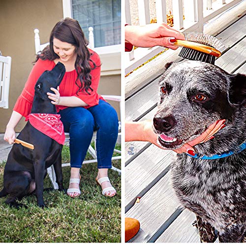ATEASE Dog Gift Set-New Puppy Pet Kit-Starter Brush and Comb Professional Double Sided, Detangling, Dematting All Natural Grooming for Long and Short haired Dogs Cats Puppies Kittens