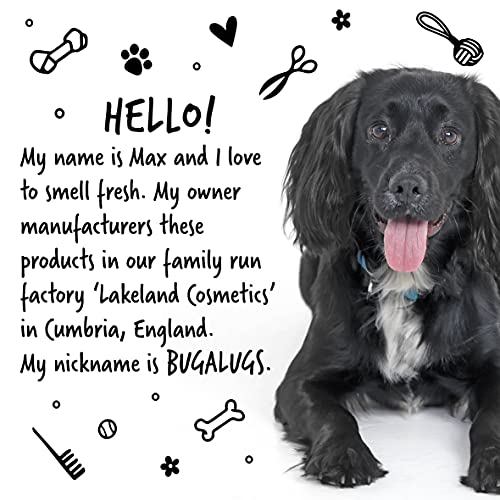 BUGALUGS Baby Fresh Dog Shampoo Dog Grooming Shampoo for Smelly Dogs with Baby Powder Scent (8.4 FL Oz, 1 Pack)