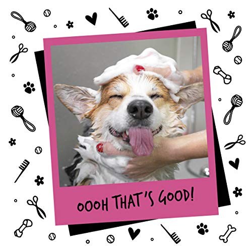 BUGALUGS Baby Fresh Dog Shampoo Dog Grooming Shampoo for Smelly Dogs with Baby Powder Scent (8.4 FL Oz, 1 Pack)