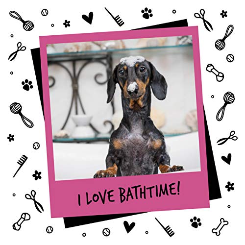 BUGALUGS Baby Fresh Dog Shampoo Dog Grooming Shampoo for Smelly Dogs with Baby Powder Scent (8.4 FL Oz, 1 Pack)