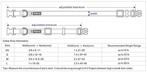 Blueberry Pet Essentials 21 Colors Classic Dog Collar, Rouge Red, Small, Neck 12"-16", Nylon Collars for Dogs