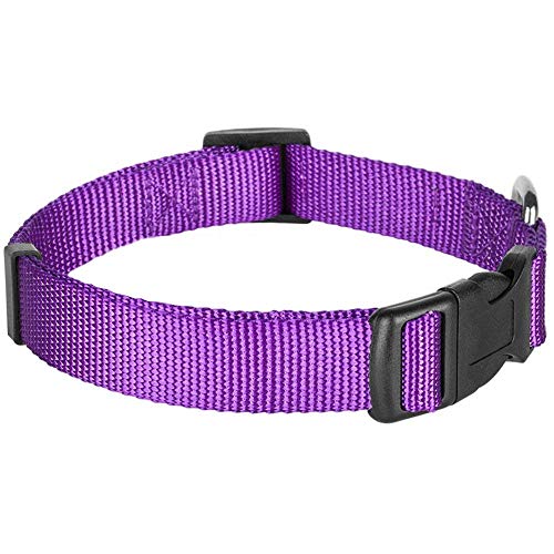 Blueberry Pet Essentials 21 Colors Classic Dog Collar, Dark Orchid, Medium, Neck 14.5"-20", Nylon Collars for Dogs