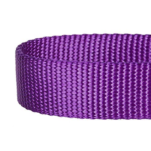 Blueberry Pet Essentials 21 Colors Classic Dog Collar, Dark Orchid, Medium, Neck 14.5"-20", Nylon Collars for Dogs