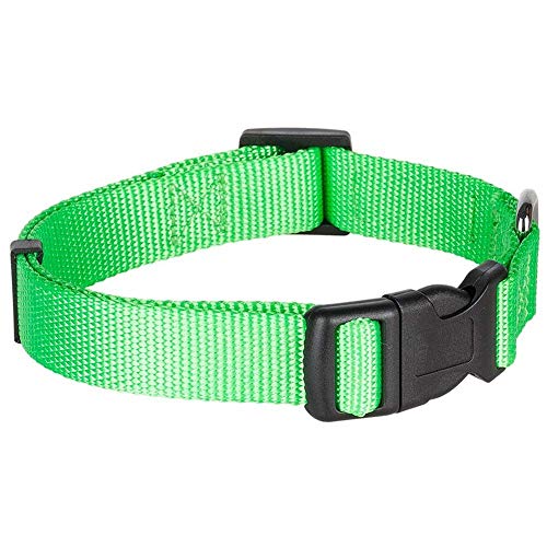 Blueberry Pet Essentials 21 Colors Classic Dog Collar, Neon Green, Large, Neck 18"-26", Nylon Collars for Dogs