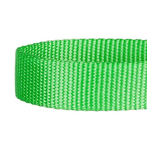 Blueberry Pet Essentials 21 Colors Classic Dog Collar, Neon Green, Large, Neck 18"-26", Nylon Collars for Dogs