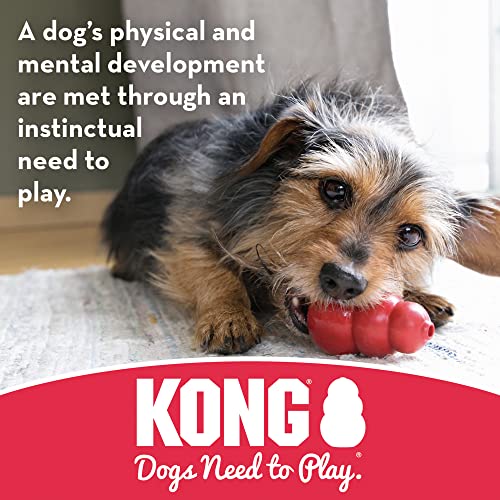 Durable KONG Goodie Bone for Aggressive Chewers