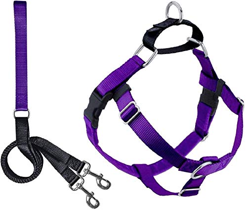2 Hounds Design Freedom No Pull Dog Harness | Adjustable Gentle Comfortable Control for Easy Dog Walking |for Small Medium and Large Dogs | Made in USA | Leash Included | 1" LG Purple