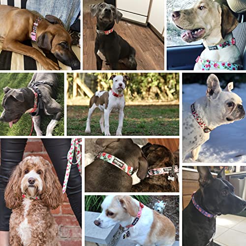 Adjustable Dog Collar with Floral Pattern - Large