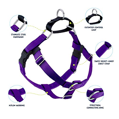 2 Hounds Design Freedom No Pull Dog Harness | Adjustable Gentle Comfortable Control for Easy Dog Walking |for Small Medium and Large Dogs | Made in USA | Leash Included | 1" LG Purple