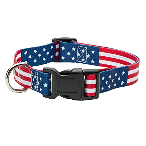 American Flag Dog Collar in 5 Different Sizes Classic (X-Small)