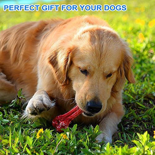 Durable Dog Chew Toys for Aggressive Chewers