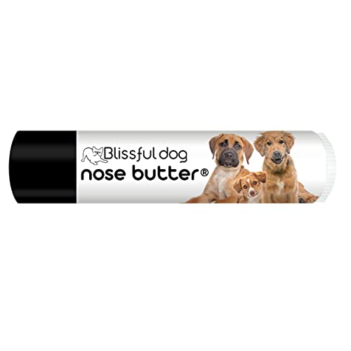 The Blissful Dog Nose Butter for Dry Dog Nose