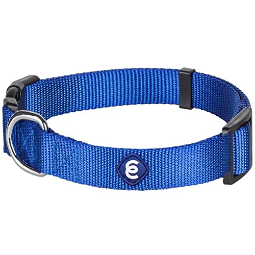 Blueberry Pet Essentials 21 Colors Classic Dog Collar, Royal Blue, Small, Neck 12"-16", Nylon Collars for Dogs