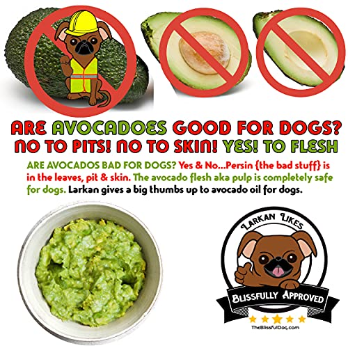 The Blissful Dog Nose Butter for Dry Dog Nose