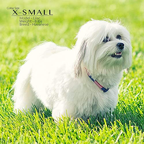 American Flag Dog Collar in 5 Different Sizes Classic (X-Small)