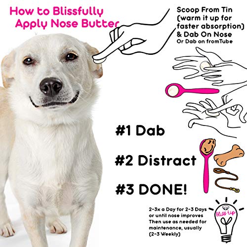 The Blissful Dog Nose Butter for Dry Dog Nose