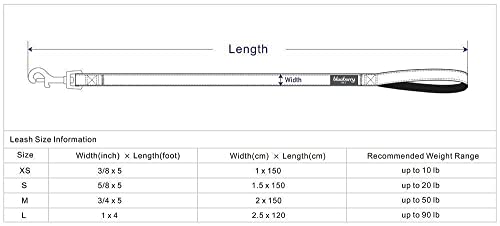 Blueberry Pet 9 Patterns Durable Spring Scent Inspired Floral Rose Baby Pink Dog Leash 5 ft x 3/4", Medium, Leashes for Dogs