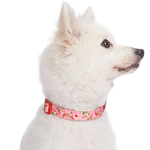 Blueberry Pet Floral Rose X-Small Dog Collar