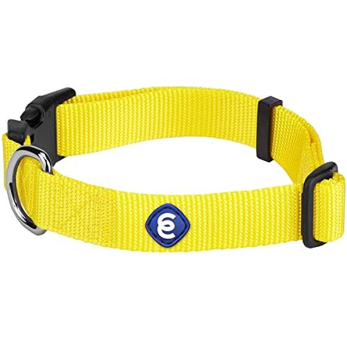 Blueberry Pet Essentials 21 Colors Classic Dog Collar, Blazing Yellow, Medium, Neck 14.5"-20", Nylon Collars for Dogs