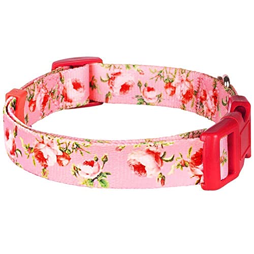 Blueberry Pet Floral Rose X-Small Dog Collar