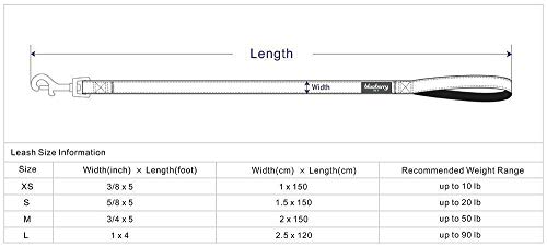 Blueberry Pet 9 Patterns Durable Spring Scent Inspired Floral Rose Baby Pink Dog Leash 4 ft x 1", Large, Leashes for Dogs