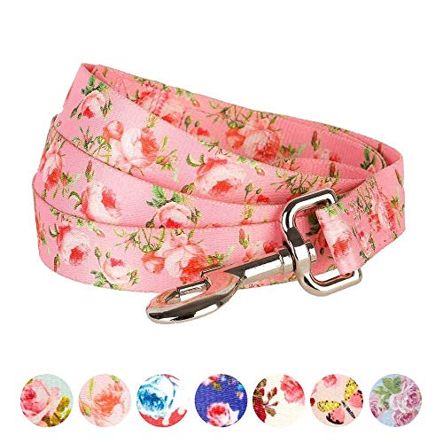 Blueberry Pet 9 Patterns Durable Spring Scent Inspired Floral Rose Baby Pink Dog Leash 4 ft x 1", Large, Leashes for Dogs