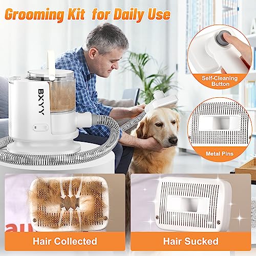 Pet Hair Grooming Kit with Vacuum Suction