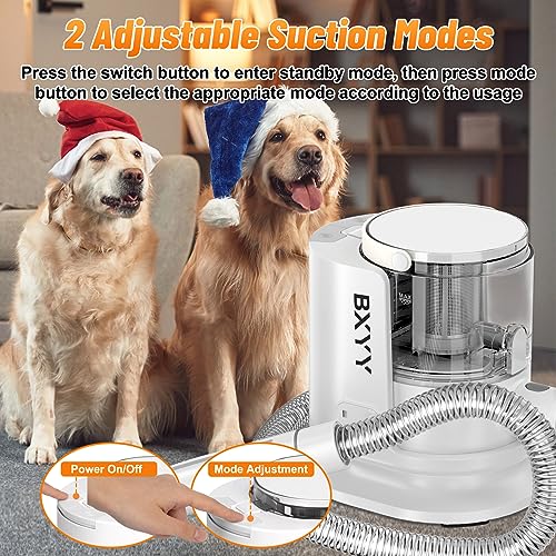 Pet Hair Grooming Kit with Vacuum Suction